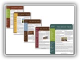 Newsletters-Avante Medical
